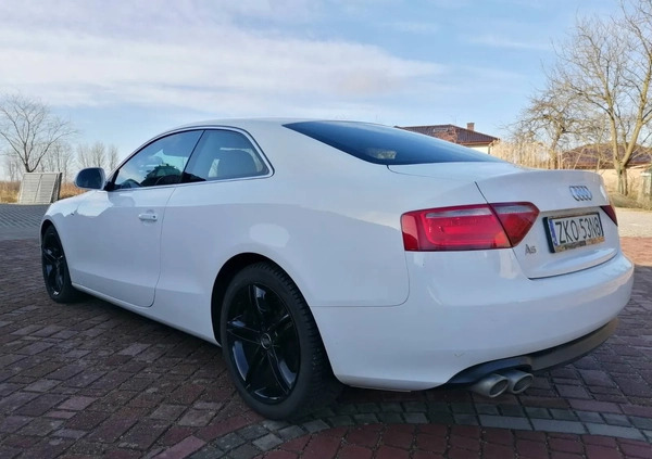 Audi A5 cena 41900 przebieg: 246700, rok produkcji 2009 z Koszalin małe 106